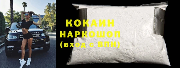 шишки Белоозёрский