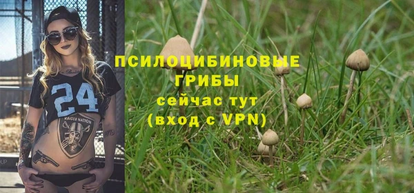 шишки Белоозёрский