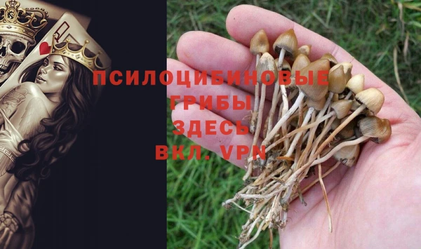 крисы Беломорск