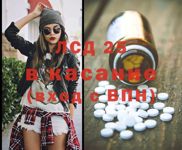 шишки Белоозёрский