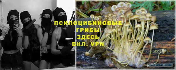 крисы Беломорск